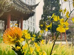 -九献创意菜·牛排馆(亮马河花园店)