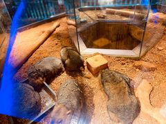 -昆明大悦城未来动物城(螺蛳湾中心店)