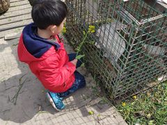 -青浦采草莓天天草莓园
