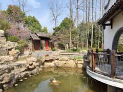 -东平国家森林公园