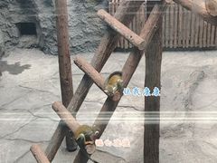 -武汉动物园