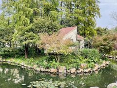 -上海共青森林公园