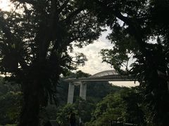 -亨德森波浪桥
