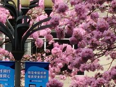 -1点点(清湖地铁店)