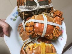 -阳澄湖大闸蟹·琼灵阁牌品牌连锁(吴中总店)