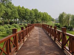 -金银湖国家城市湿地公园