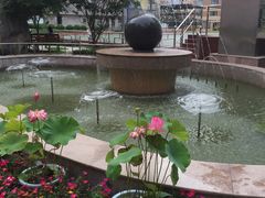 -上海商业会计学校(迎勋路)