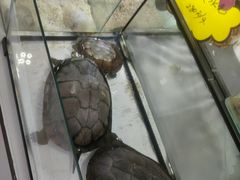 -宁波鄞州万达广场