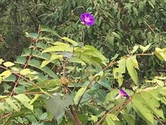 -姥家大锅台水库渔家