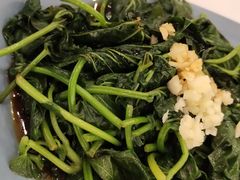 蒜蓉炒番薯叶-金华安大酒楼·老牌潮菜·粤式茶点(东方国际店)