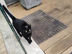 -UNI UNI(环亚凯瑟琳店)