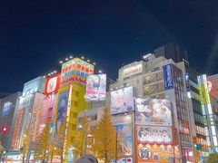-Animate(秋叶原本馆)