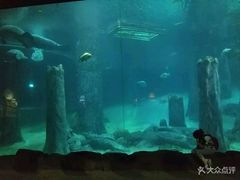 -河川生态园