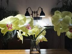 -喜洲吧·江畔老船厂·庭院餐厅(喜临院店)
