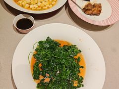 -圆苑(静安寺店)