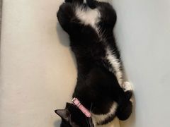 -VOYAGE COFFEE(北锣鼓巷店)