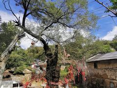 -水峪民俗村