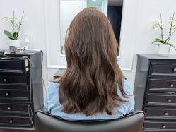 -时尚殿堂salon