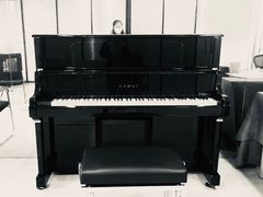 -柏斯琴行(汾阳店)