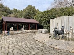 -白马涧龙池景区