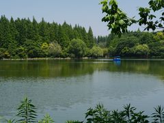 -东平国家森林公园