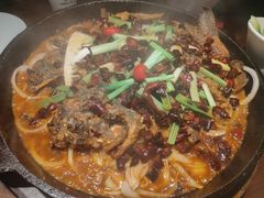 -老板恋上鱼(高新万达店)