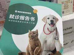-瑞派名望24h动物医院异宠专科·猫专科·骨科·重症监护分院