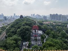 -茶颜悦色(花园道店)
