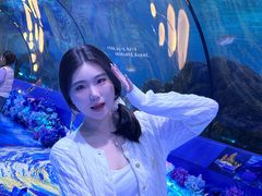 -重庆欢乐海底世界