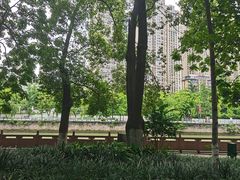 -成都市活水公园