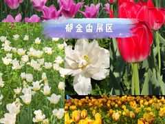 -国家植物园