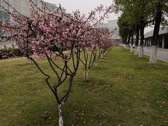 -武汉琴台钢琴博物馆