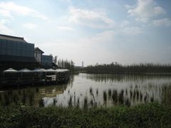 -白鹭湾湿地公园