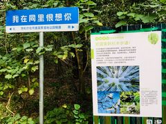 -同里国家湿地公园