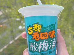 酸梅汤-大嘻咹biangbiang面(历史博物馆店)