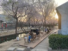 -春风习习