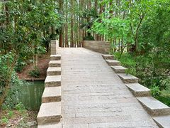 -同里国家湿地公园