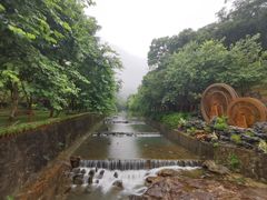 -广州白江湖森林公园