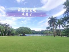 -深圳仙湖植物园
