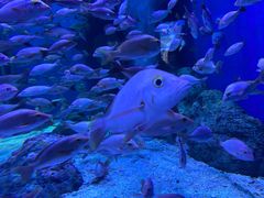 -成都浩海立方海洋公园