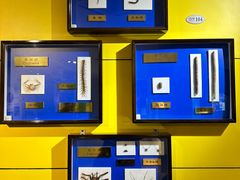 -上海昆虫博物馆