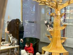 -BABIT巴比特宠物(MOMOPARK店)