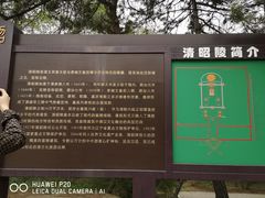 -北陵公园