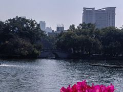 -荔湾湖公园