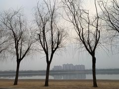 -象湖生态湿地公园