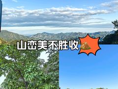 -大岭沟猕猴桃谷风景区