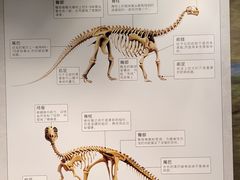 -北京周口店北京人遗址博物馆