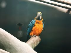 -石家庄市动物园