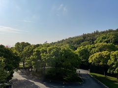 -上海佘山世茂艾美酒店