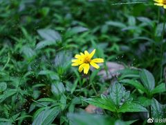 -燕晗山郊野公园